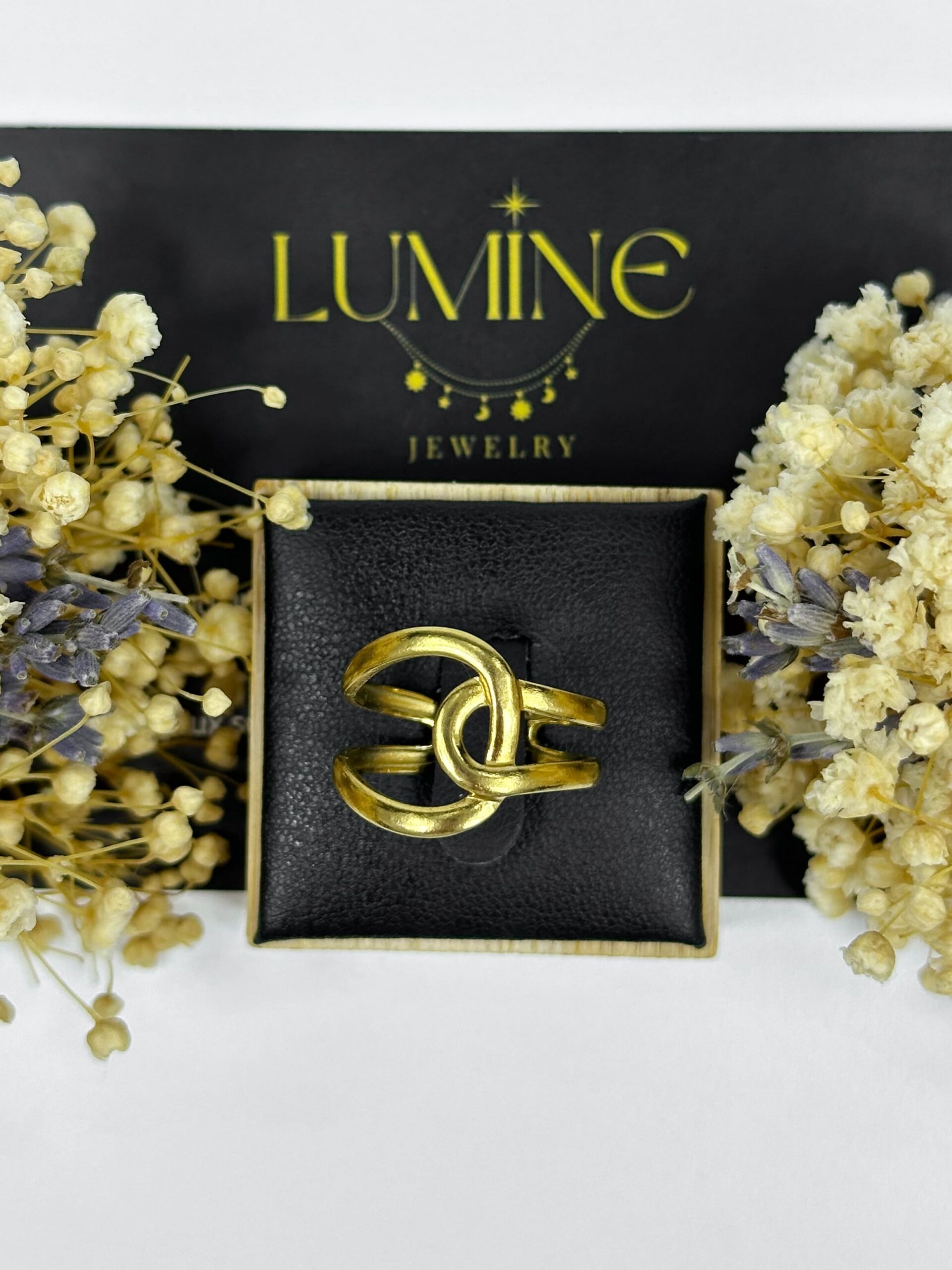 Linked Ring – Image 3